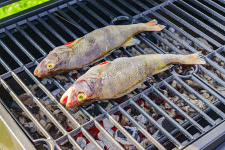 Grilled fresh fish. Cooking BBQ seafood on fire outdoors.の写真素材