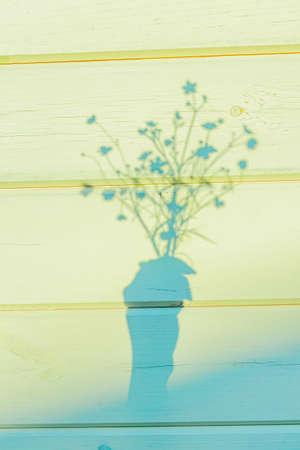 Shadow of Female hand holding bouquet of beautiful buttercup flowers