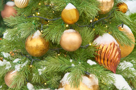 close up of christmas trees decorated with sparkling balls and garland with lights on. Festive...