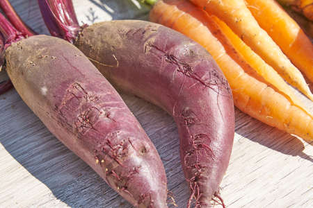 close up of Freshly harvested homegrown organic beetroot, onion and carrot on wooden table.
