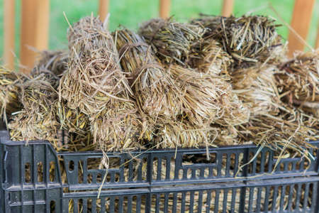 small bales of hay in plastic box at the farm. Winter food for animalsの写真素材