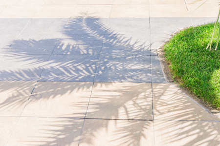 Shadows of palm leaves on the pavement.の写真素材