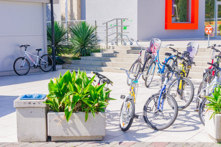 Sochi Adler, Russia - September 7, 2019: Bikes for rent on bicycle parkingのeditorial素材