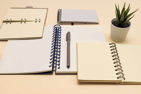 Eco friendly notebooks for office, with copy space and pen made of recycled paper on a pastel...