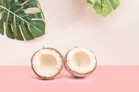 Two halves of fresh raw coconut on pink backgound with green monstera leaves on white. Trendy conceptの写真素材