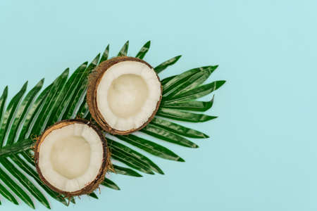 Half of fresh raw coconut on bue backgound. Top view, flat layの写真素材