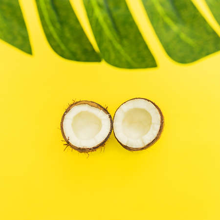 Bright tropical background with broken cocnut and monstera leaf, minimal flat layの写真素材