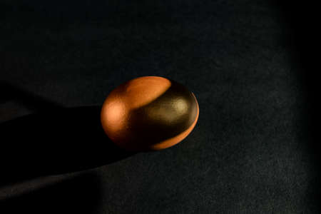 Golden egg on black background. Minimal style backdrop with copy space.の写真素材