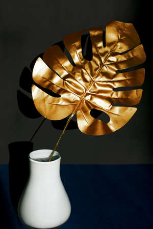 Trendy gold tropical monstera leaf in white vase on black backgroundの写真素材