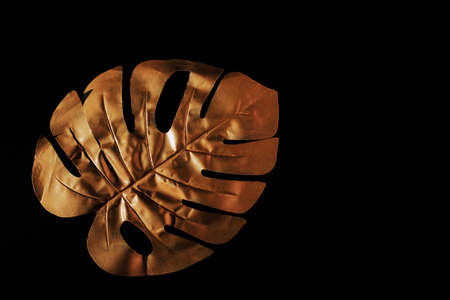 gold painted exotic monstera leaf on black background. Creative frame with copy space for text.の写真素材
