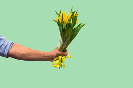 Man hand with yellow tulips bouquet on green background. Springtime. Woman and mother day concept....