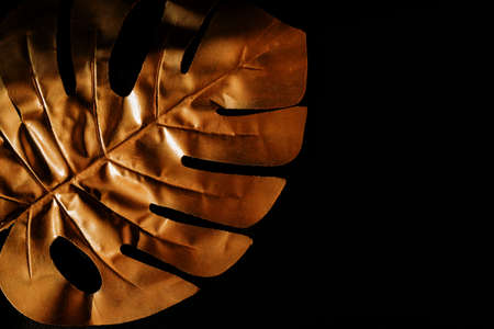 Fashionable luxuary black background with gold monstera leaf. Copy space for text.の写真素材