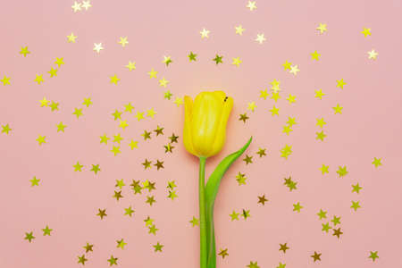 Creative festive backgound with single yellow tulip and golden star confettiの写真素材