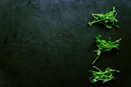 young microgreen vegetable peas. raw sprout vegetables germinated from plant seeds. top view, copy space, food backgroundの写真素材