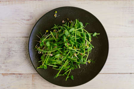 Top view of vegan healthy salad made of peas microgreen sprouts and sprouted beans on wooden background.の写真素材