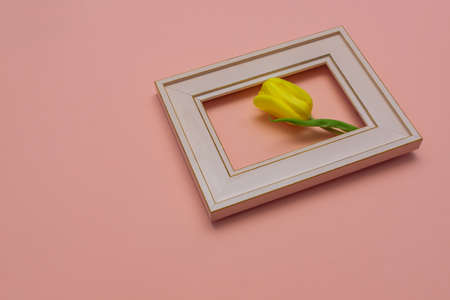 Beautiful tulip flowerin pink photo frame, peach background. Spring and Easter Frame Concept. Flat lay. Blank Space.の写真素材