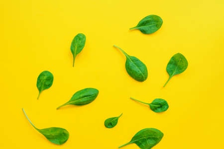 Food background of spinach leavs on yelow background.の写真素材