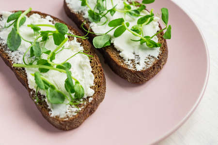 Two sandwiches on rye toast with peas microgreen and cottage cheese on pink plate. Macrobiotic...