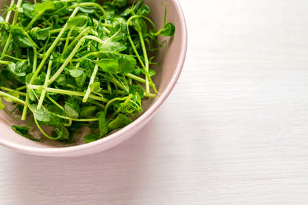 Pink bowl with organic freshly harvested snow pea sprouts on white wooden table, copy space for text