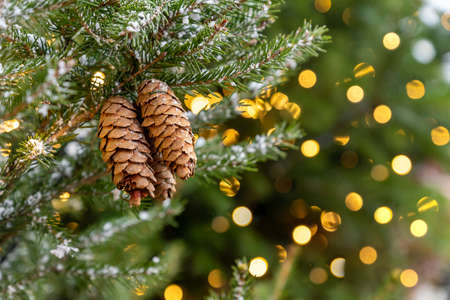 Christmas festive background with copy space. Cones on fur tree branch with bokeh backdrop. New year poster for designの写真素材