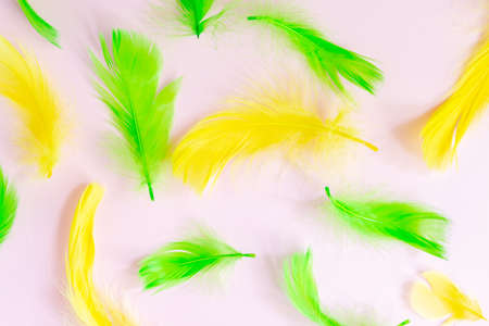 Trendy frame with Beautiful green and yellow bird feathers on pink pastel background. Flat lay with...