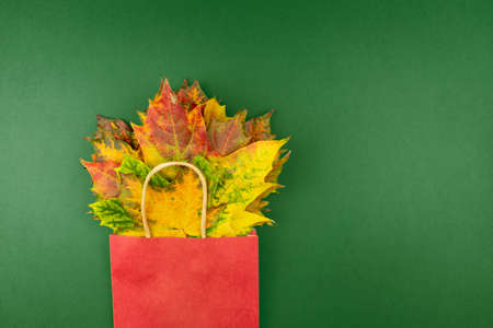 Autumn bouquet of dry maple leaves in red paper bag on green background. Fall shopping concept with...