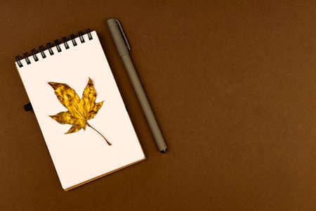Autumn busines concept - blank ring-bound notebook with golden maple leaf and pen on brown background with copy spaceの写真素材