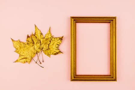 Autumn bouquet of golden painted maple leaves on pink background. Trendy concept. Flay lay in minimalism style.の写真素材