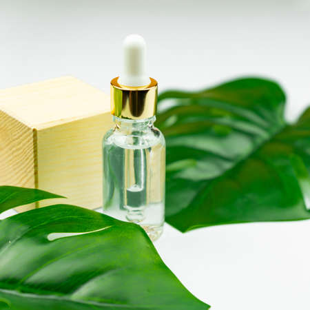 Serum bottle near palm leaf. Trendy beauty product for young skin. Additional moisturizing step in everyday facial routine. Copy spaceの写真素材