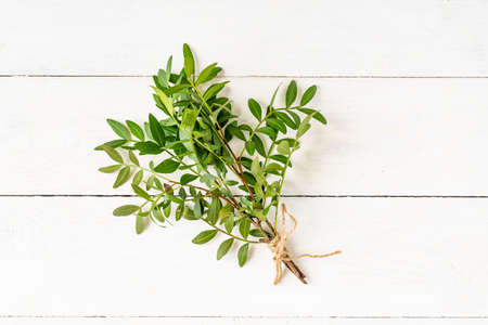 Bunch of green leaves branches on white wooden table. Nature conservation concept.