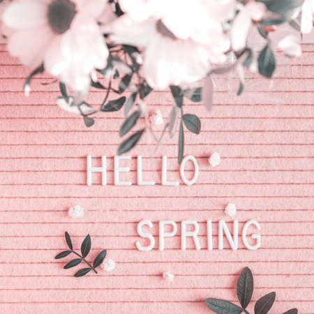 Hellow spring quote on pink background with flowers. Top view. Festive greeting card.の写真素材