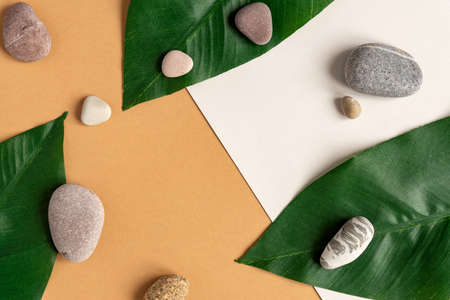 Zen flat lay composition with green leafs and stones. Tropical leaf and sea pebble on beige...