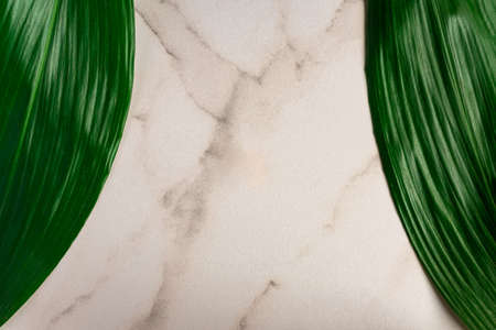 Tropical greenery frame. product advertising backdrop. Large green leaves on marble backgrund with...