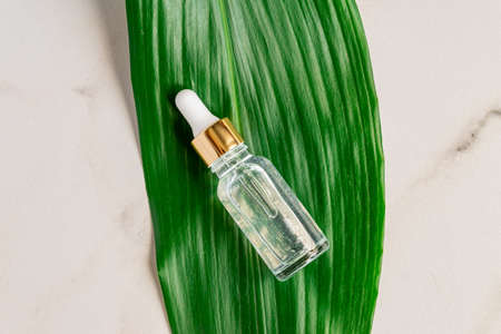 transparent bottle with beauty serum, hyaluronic acid and vitamins on a green tropical leaf. Home face and body care concept.の写真素材