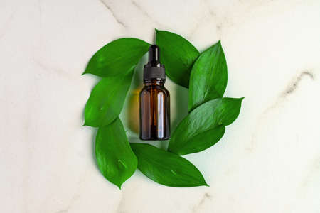 Natural beauty cosmetic product for skincare concept. glass dropper and organic green leaves on barble background. Serum or essential oil herbal extract. Branding mock-up. Copy spaceの写真素材
