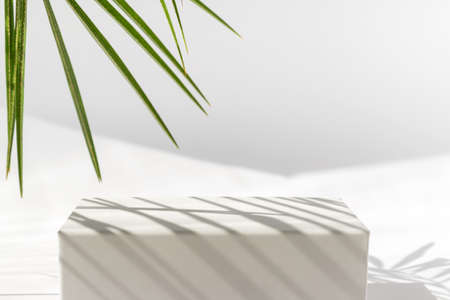 white podium with palm leaves on white background. Concept scene stage showcase for product, promotion, sale, banner, presentation of cosmetic products. Minimal showcase empty mock upの写真素材
