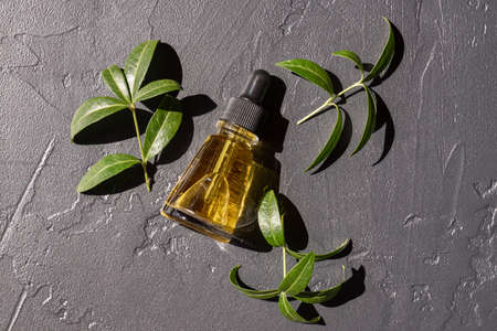 a glass cosmetic bottle with a serum or face oil on a dark background with green herbs. Eco friendly cosmetic products concept. Copy space.の写真素材