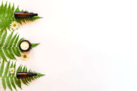 Moisturizer cream jar, serum in glass bottle on white background with fern leaves. Set for skin and body care beauty products. unbranded package.の写真素材