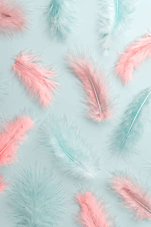 Colorful feather pastel background for designers. Lightweight tropical beard feathers scattered on...