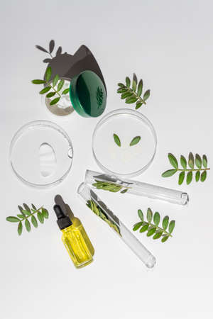Top view of petri dishes with green plants, jar with face ream and beauty oil in bottle dropper. Concept of the research and creating cosmetics, bio laboratory concept. Extracting herbs ingredientsの写真素材