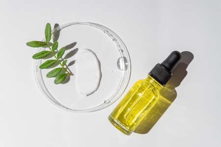 Glass petri dish with face cream smear and bottle dropper of retinol or vit C serum, essential oil with herbal extract. cosmetic products and green plants. Dermatology science cosmetic laboratory.の写真素材