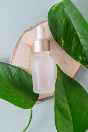 Dropper glass Bottle Mock-Up. Body treatment and spa. Natural beauty products. serum skin care blank bottle. Anti-aging beauty oil. Oily cosmetic pipette.の写真素材