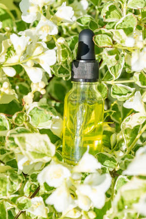skincare natural jasmine essential oil product. White jasmine flower petals and cosmetic glass bottle with dropper for moisturizing serum anti aging productの写真素材