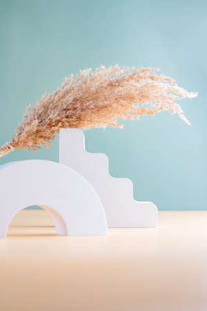 Minimal cosmetic background for product presentation. Concrete podium on double beige and green background. Natural skin care concept with dry reed grassの写真素材