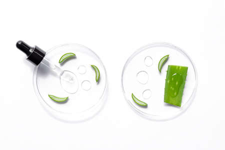 Natural cosmetic laboratory concept. Petri dishes with cosmetic gel of Aloe Vera plant, pipette...