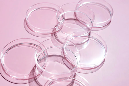 Empty glass lab petri dish for scientific research in pink background.