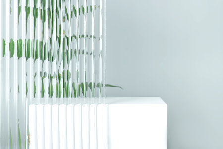 Empty white podium on gray background with plexiglass and ruscus branch behind it. Pedestal podium for the presentation of cosmetic productsの写真素材