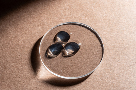 Transparent drops of cosmetic product serum gel in petri dish. Liquid texture with bubbles on beige background. Skincare products, natural cosmetic.の写真素材