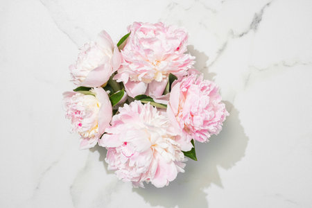Flower composition. Pink peony flowers on white marble background. Flat lay. Top view with copy space. Mothers day or wedding background. Festive concept. Mockup.の写真素材