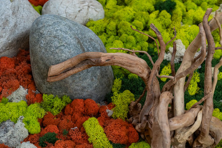 Close-up of vibrant green and orange moss surrounding large natural stones. This serene scene...